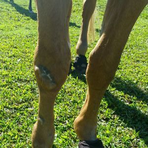 Meet your Posher, Cheri